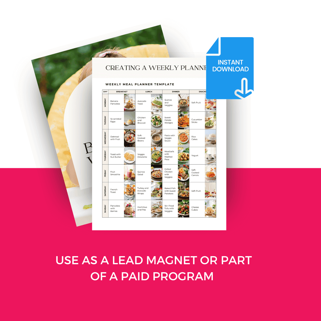 Baby Led Weaning Planner Perfect For Lead Magnet And Paid Program